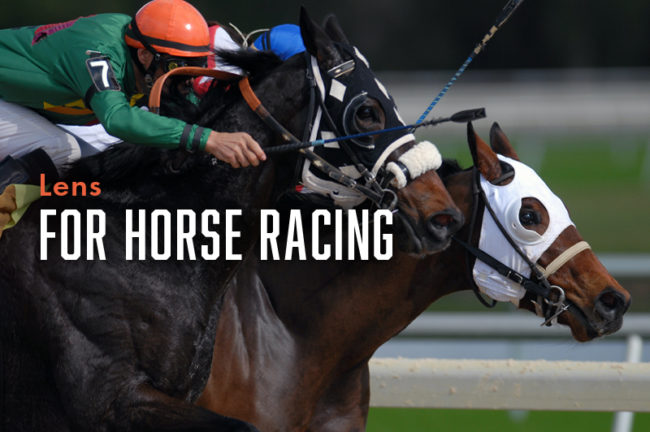 競馬の撮影におすすめなレンズ10選