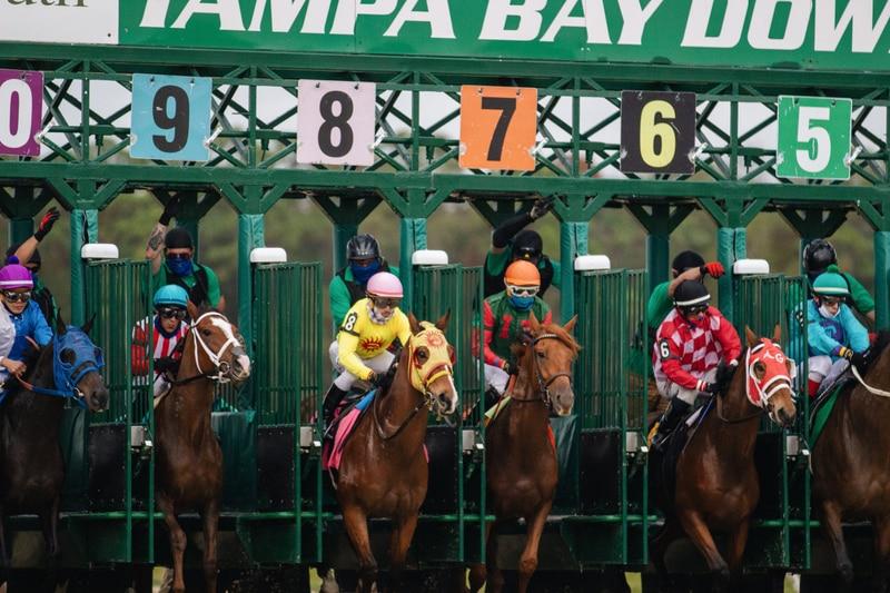 競馬を撮影する際の注意点