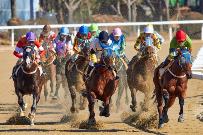 競馬