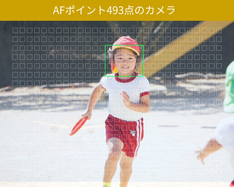 AFポイント493点