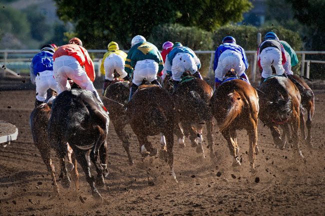 2025年2月のスポーツ観戦・撮影カレンダー