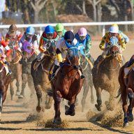 2025年8月のスポーツ観戦・撮影カレンダー