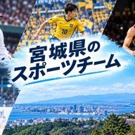 宮城県・仙台を拠点にするスポーツチーム5選！推し活・観戦におすすめの注目選手＆撮影ガイド